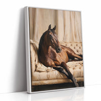 Noble Steed Reclines in Luxury