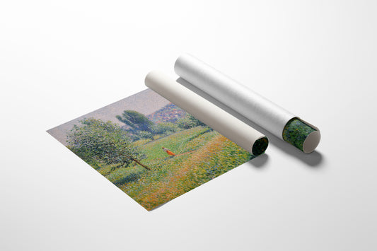 Summer Meadows Hold Ancient Stories