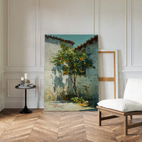 Oranges Beneath the Sunlit Wall