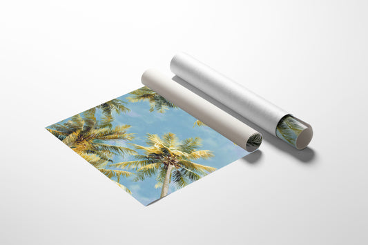 Summer Breeze Lifts Palm Stories