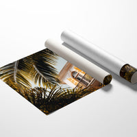 Golden Shutters Behind Palm Veils