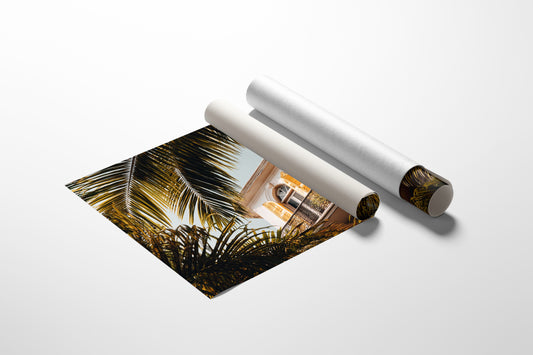 Golden Shutters Behind Palm Veils