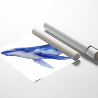 Ocean Giants Paint Their Stories Blue