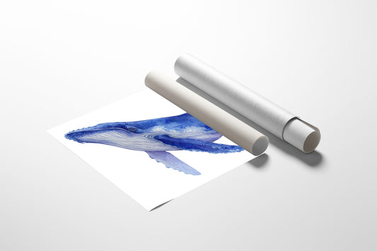 Ocean Giants Paint Their Stories Blue