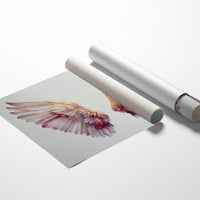 Dawn Paints Wings With Rose Gold