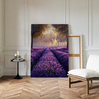 Lavender Fields in Golden Light