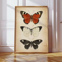 Flight Through Timeless Patterns