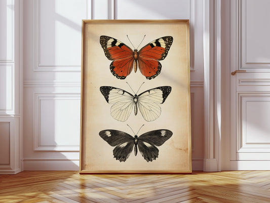 Flight Through Timeless Patterns