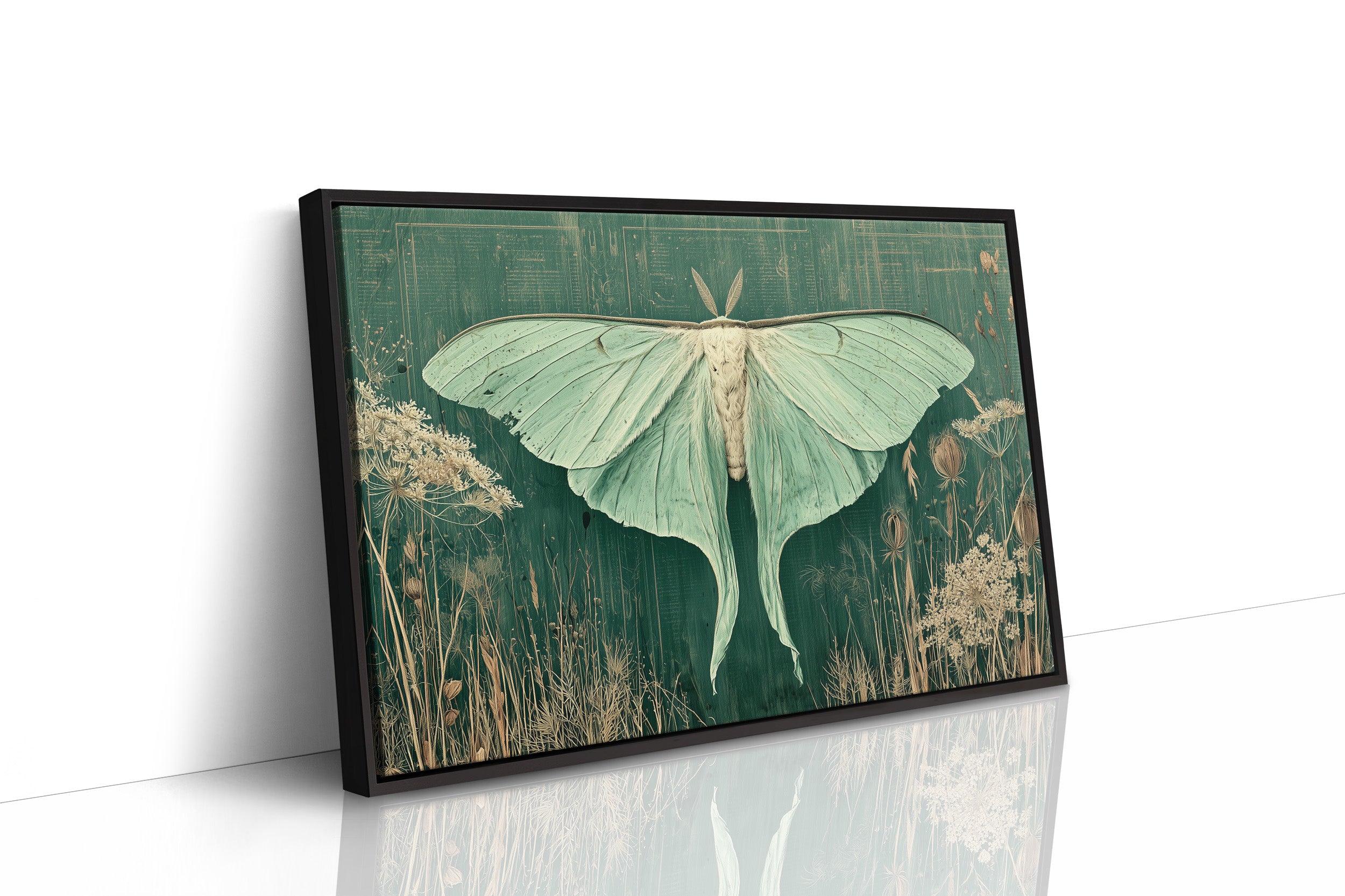 Luna Moth Among Wild Grasses