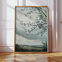 Branches Reaching for Horizon's Breath
