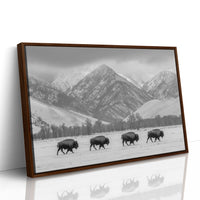 Where the Buffalo Roam