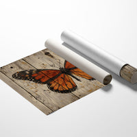 Weathered Wings Tell Summer Stories