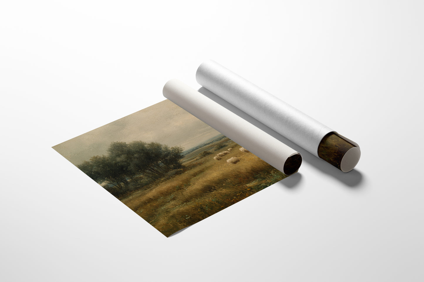 Autumn Fields Hold Ancient Stories