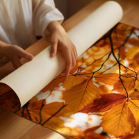 Stained Glass, Nature’s Version