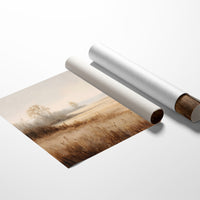 Morning Mist Paints Prairie Gold