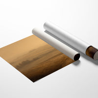 Autumn Fields Remember Ancient Steps