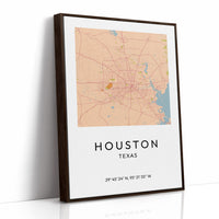 Houston, Mapped in Amber