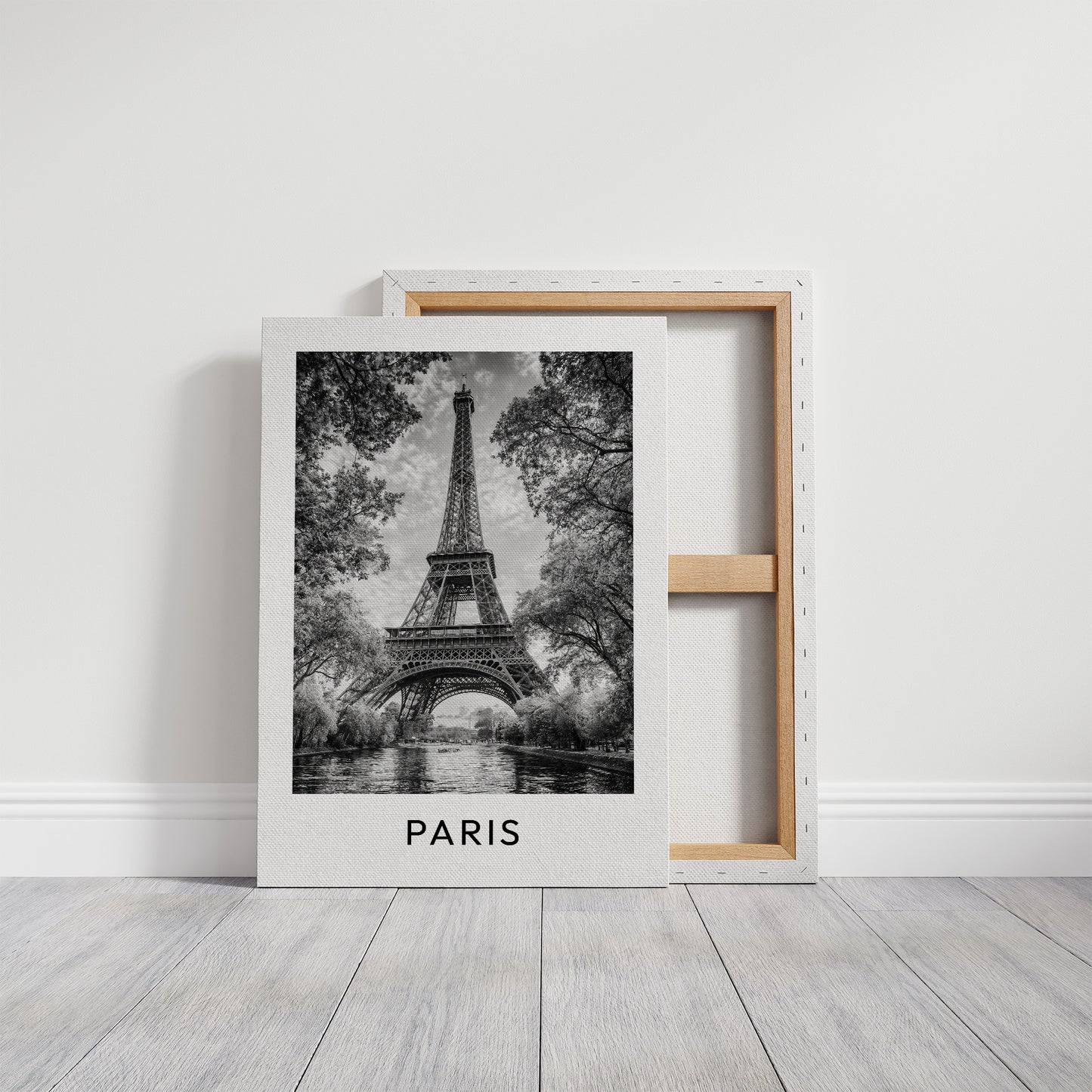 Eiffel Tower River View