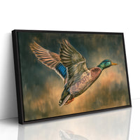 Mallard Takes Flight