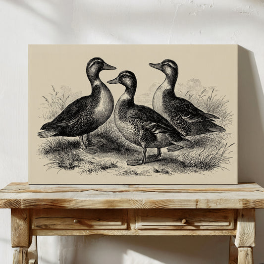 Gathering of Gentle Companions