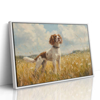 Summer Fields Call The Pointer Home