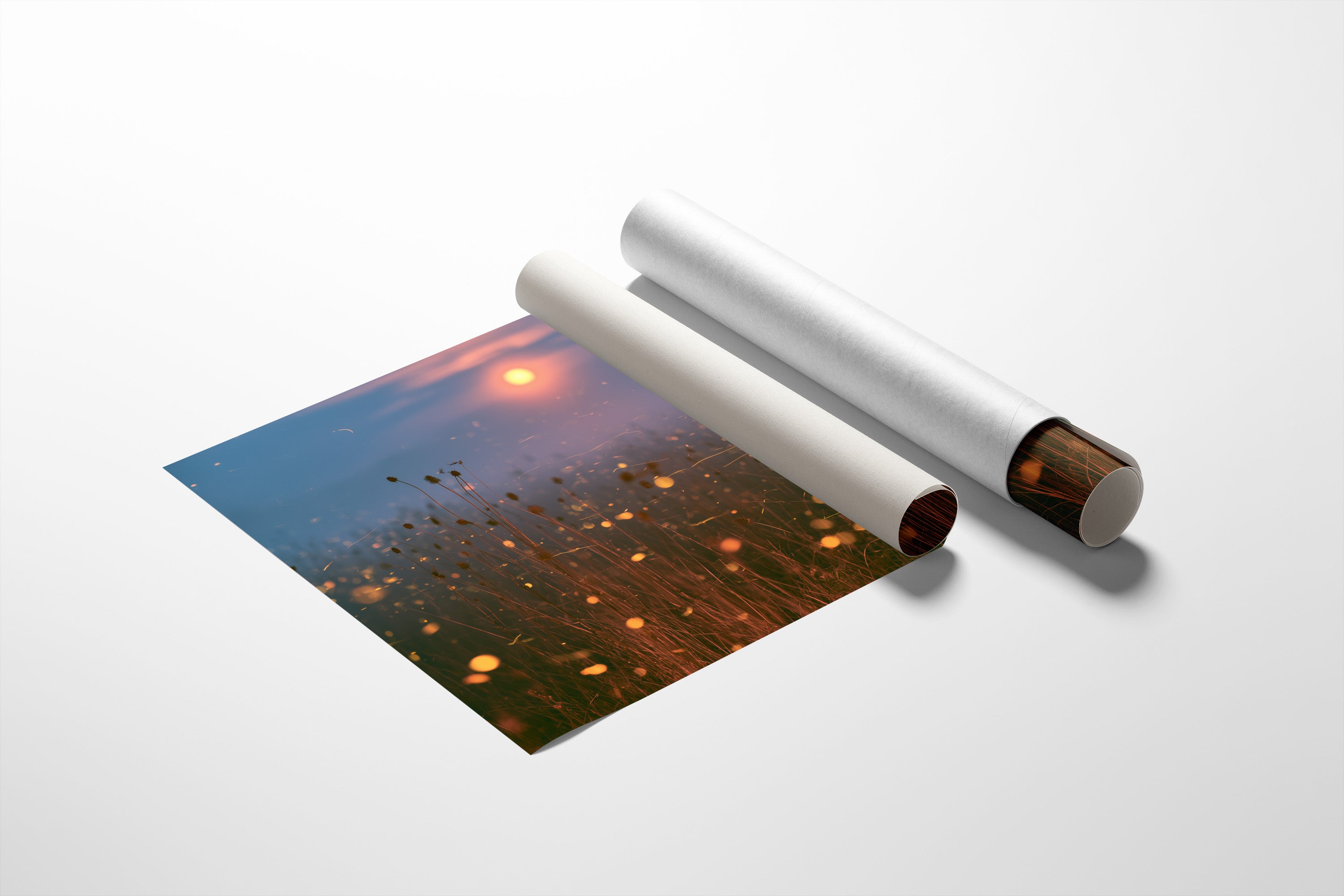 Fireflies at Moonrise