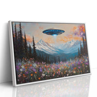 Cosmic Visitors Above Alpine Meadows