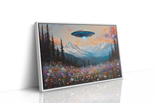 Cosmic Visitors Above Alpine Meadows