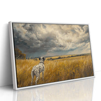 Storm Clouds Call A Dalmatian Home