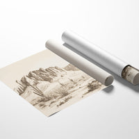 Beneath the Desert's Gaze