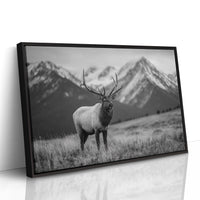 Crown of the Wilderness