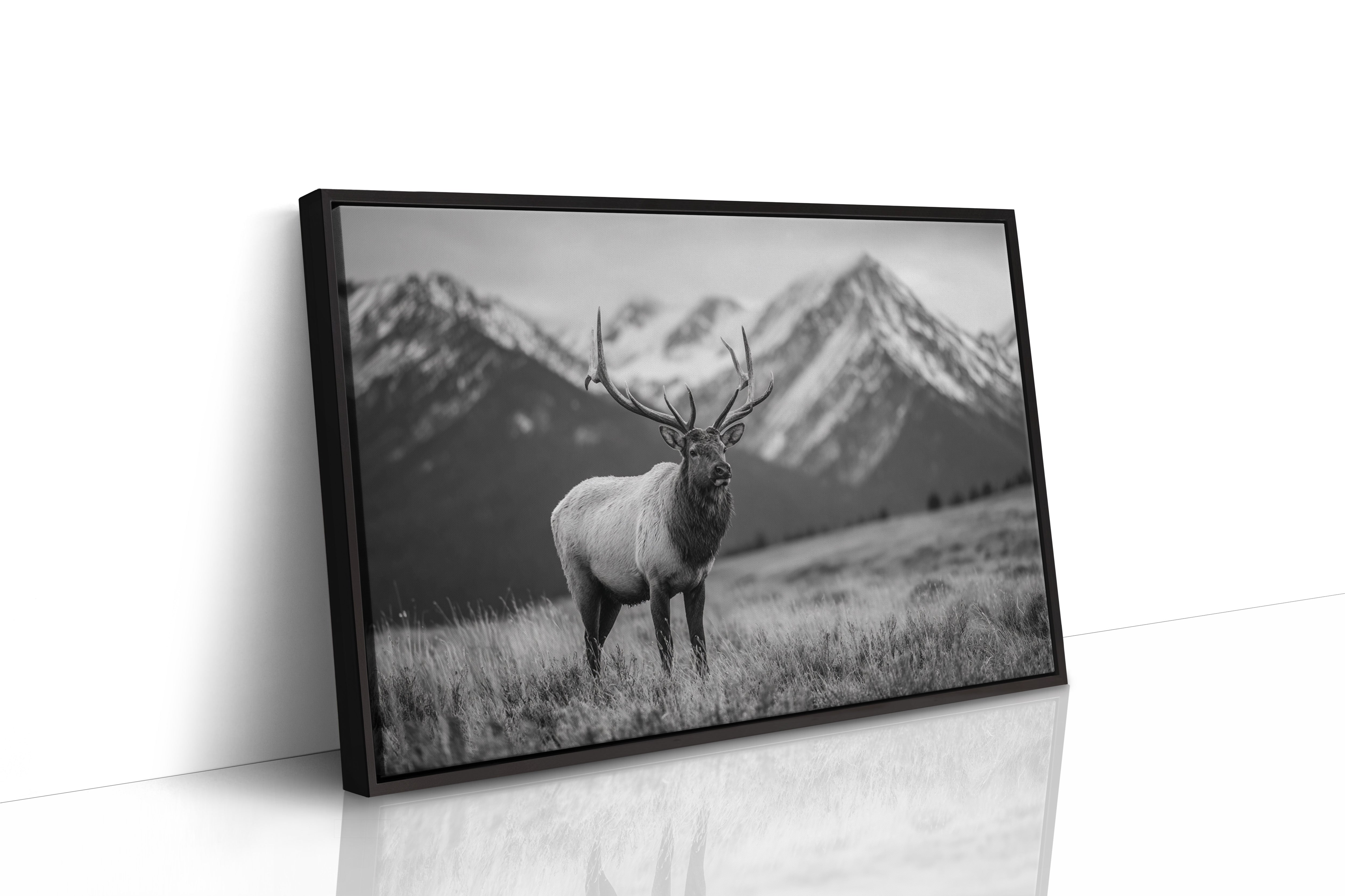 Crown of the Wilderness