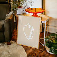 Seashell Sketches In Blush Light