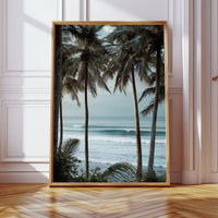 Tides Dance Beneath Tall Palms