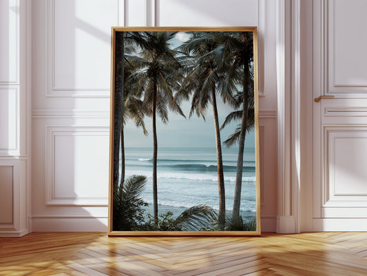 Tides Dance Beneath Tall Palms