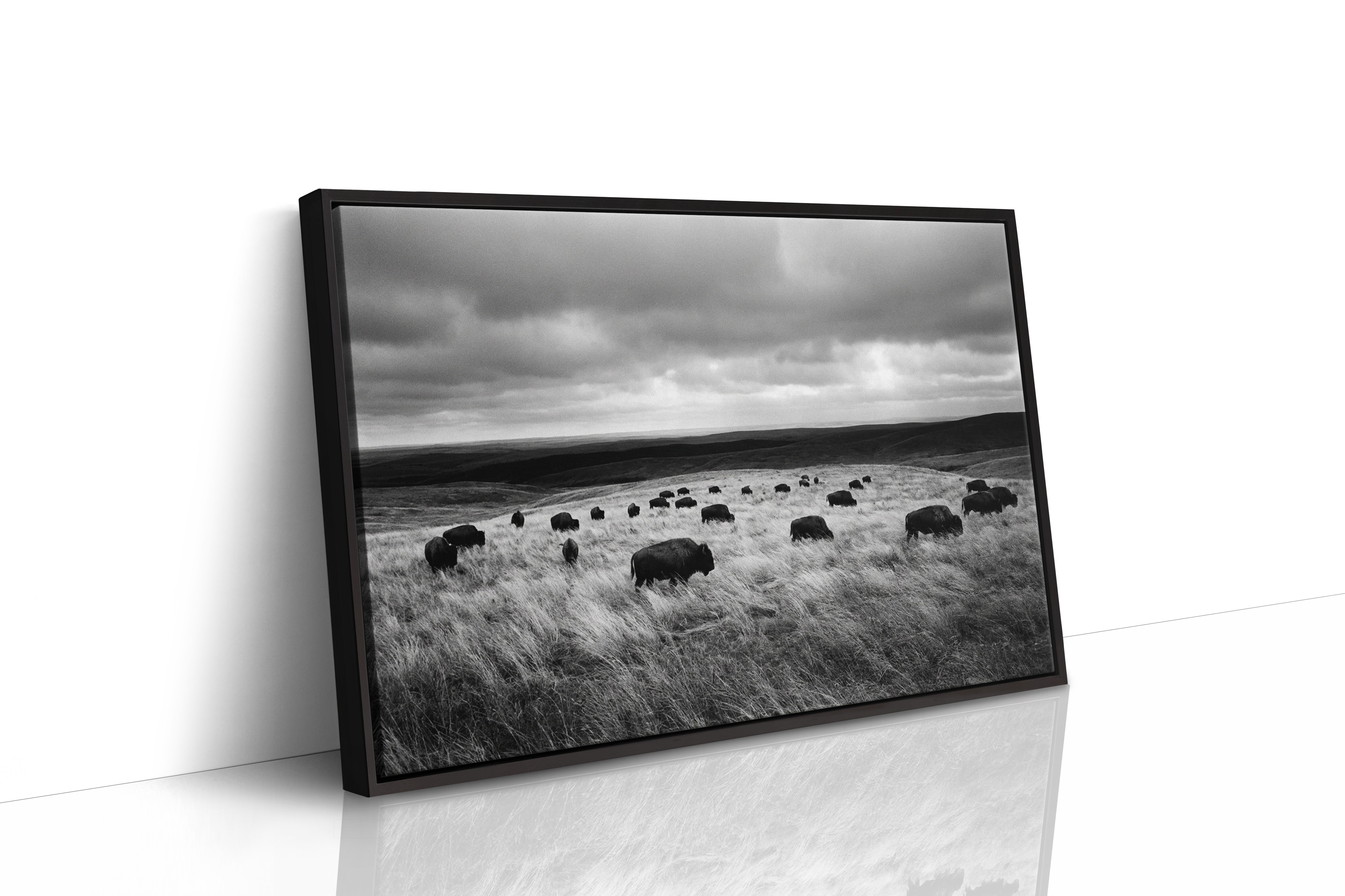 The Prairie Remembers Their Weight