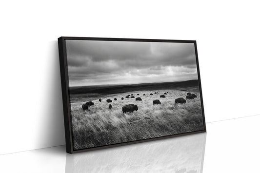 The Prairie Remembers Their Weight