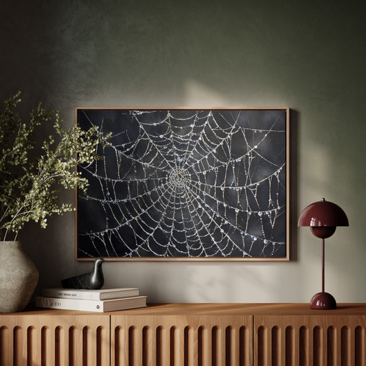 Glistening Threads of Morning Light