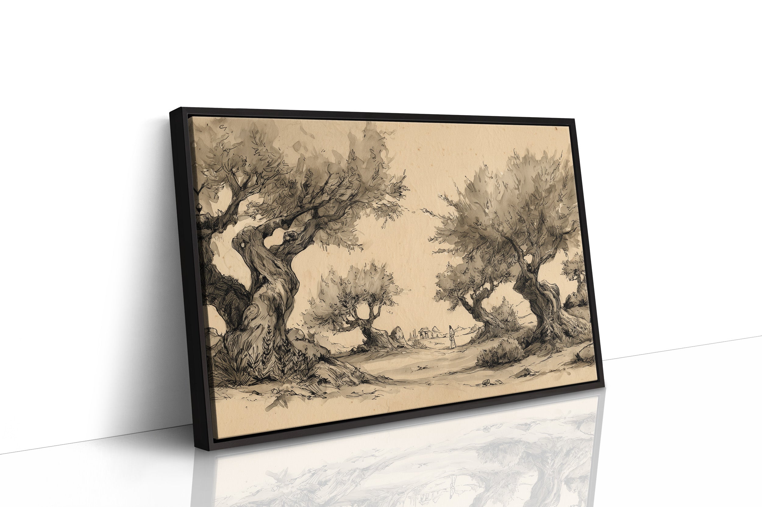 Ancient Olives Guide The Wanderer