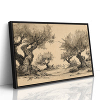 Ancient Olives Guard Distant Paths