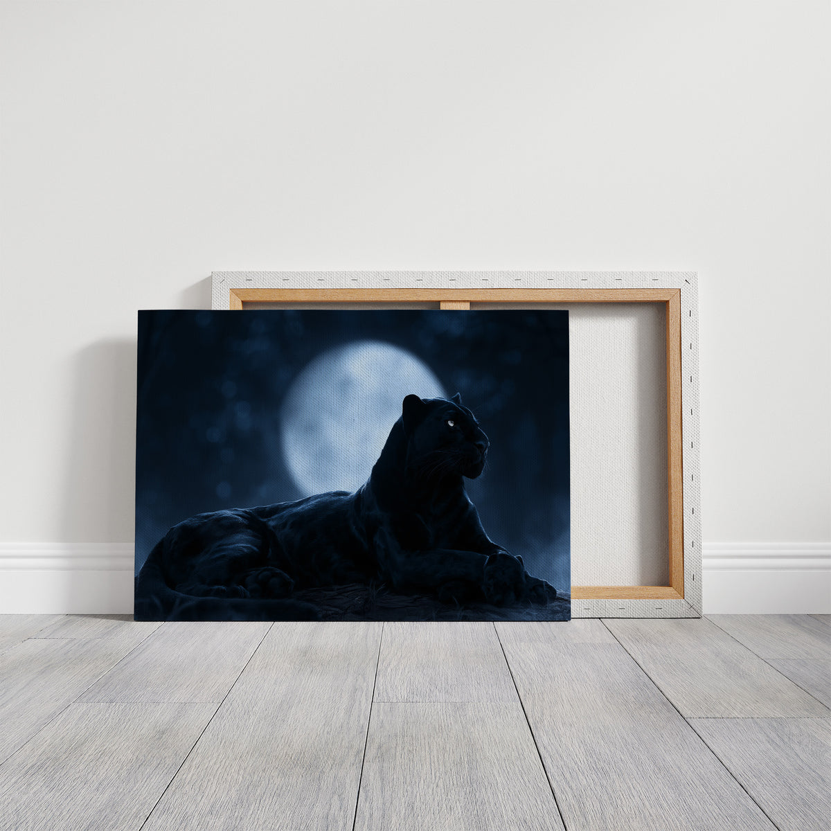 Night Owl, Technically Feline