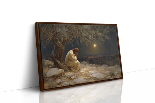 Midnight Prayer Beneath Ancient Olive