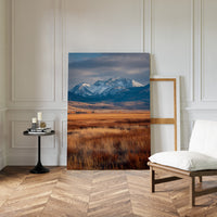 Golden Grasses Beneath Snowy Peaks