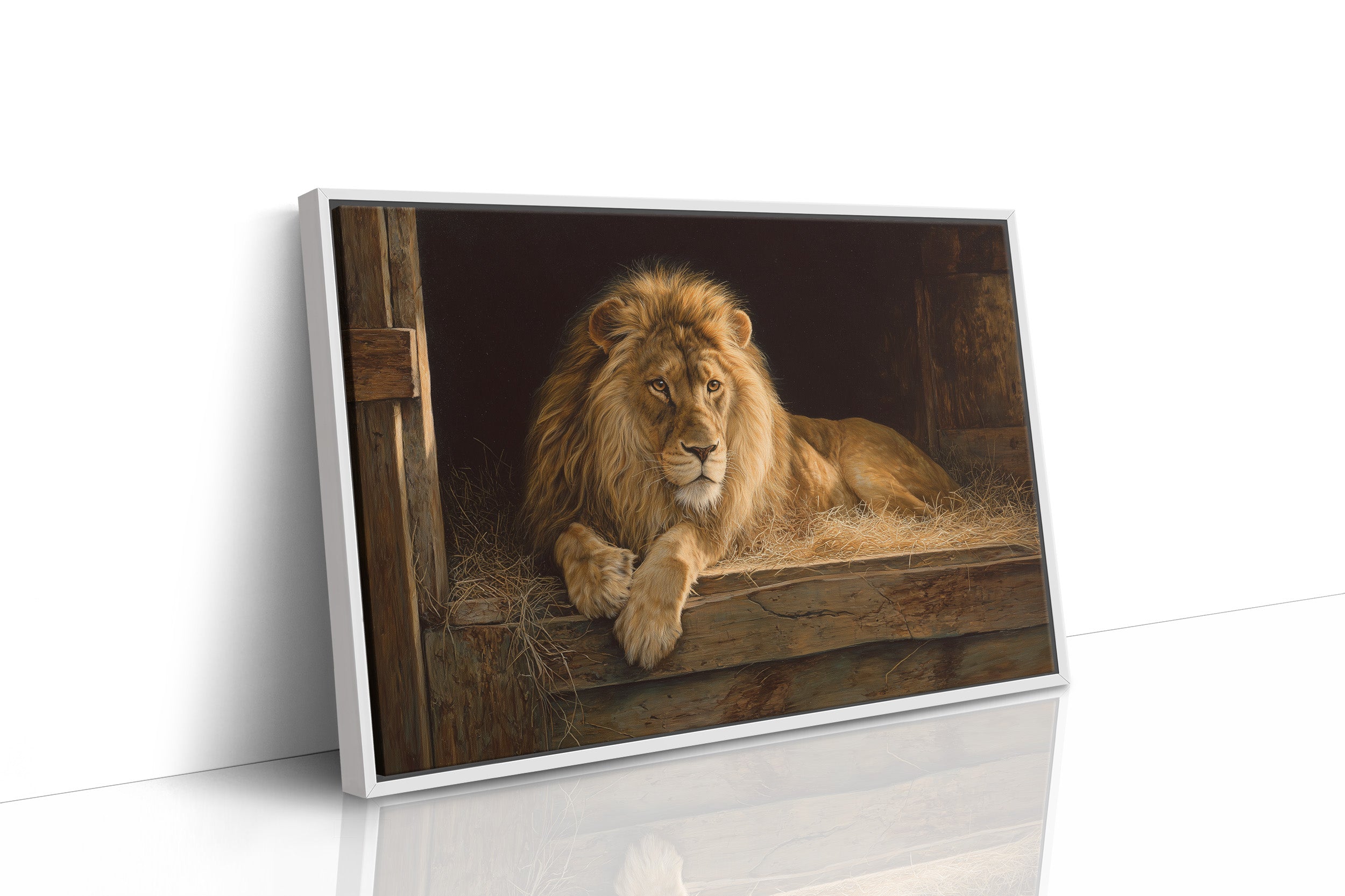 Noble Beast Rests In Golden Light