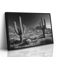 Sentinels of the Sonoran