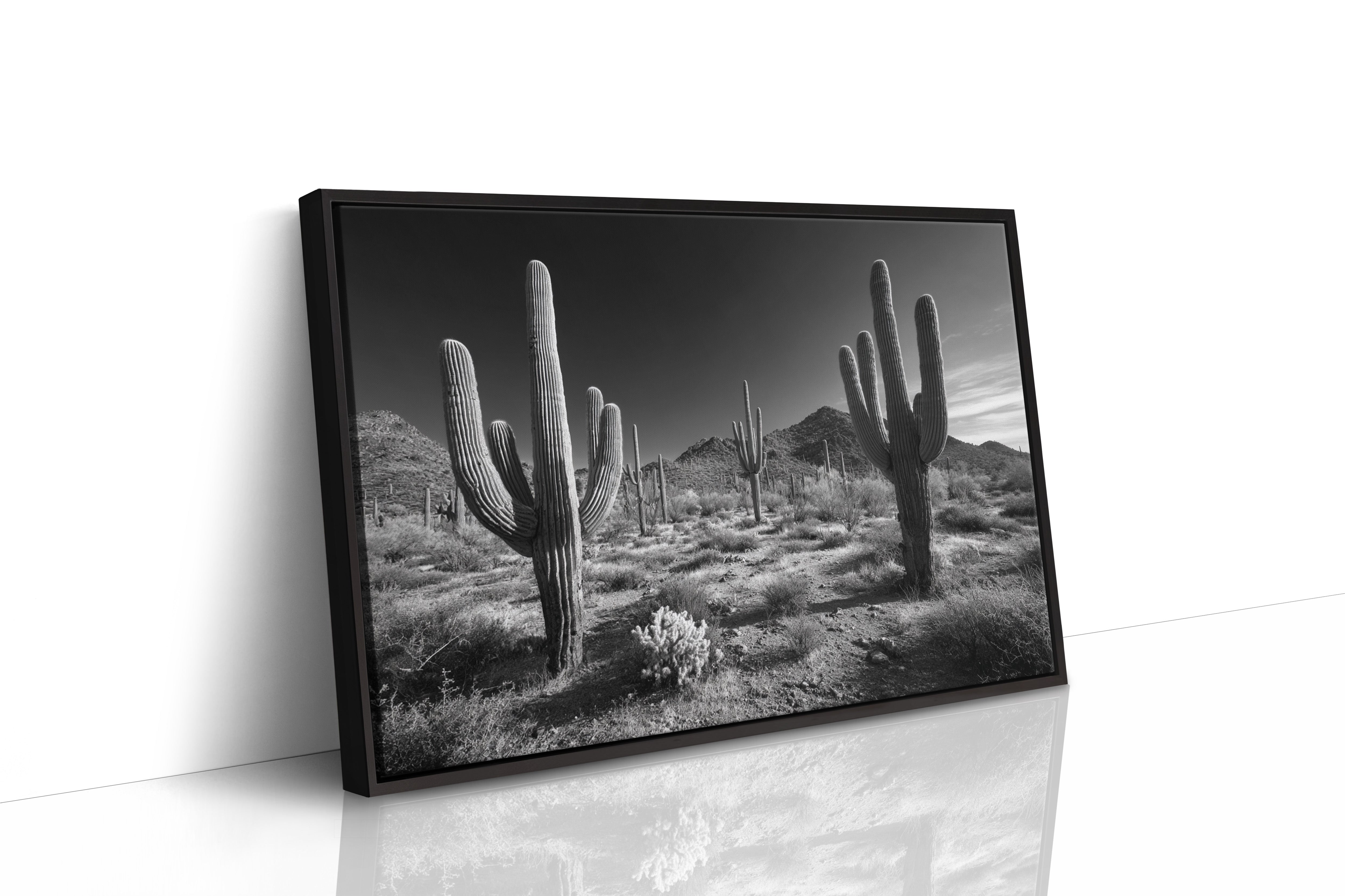 Sentinels of the Sonoran