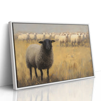 Black Sheep Leads Golden Meadow