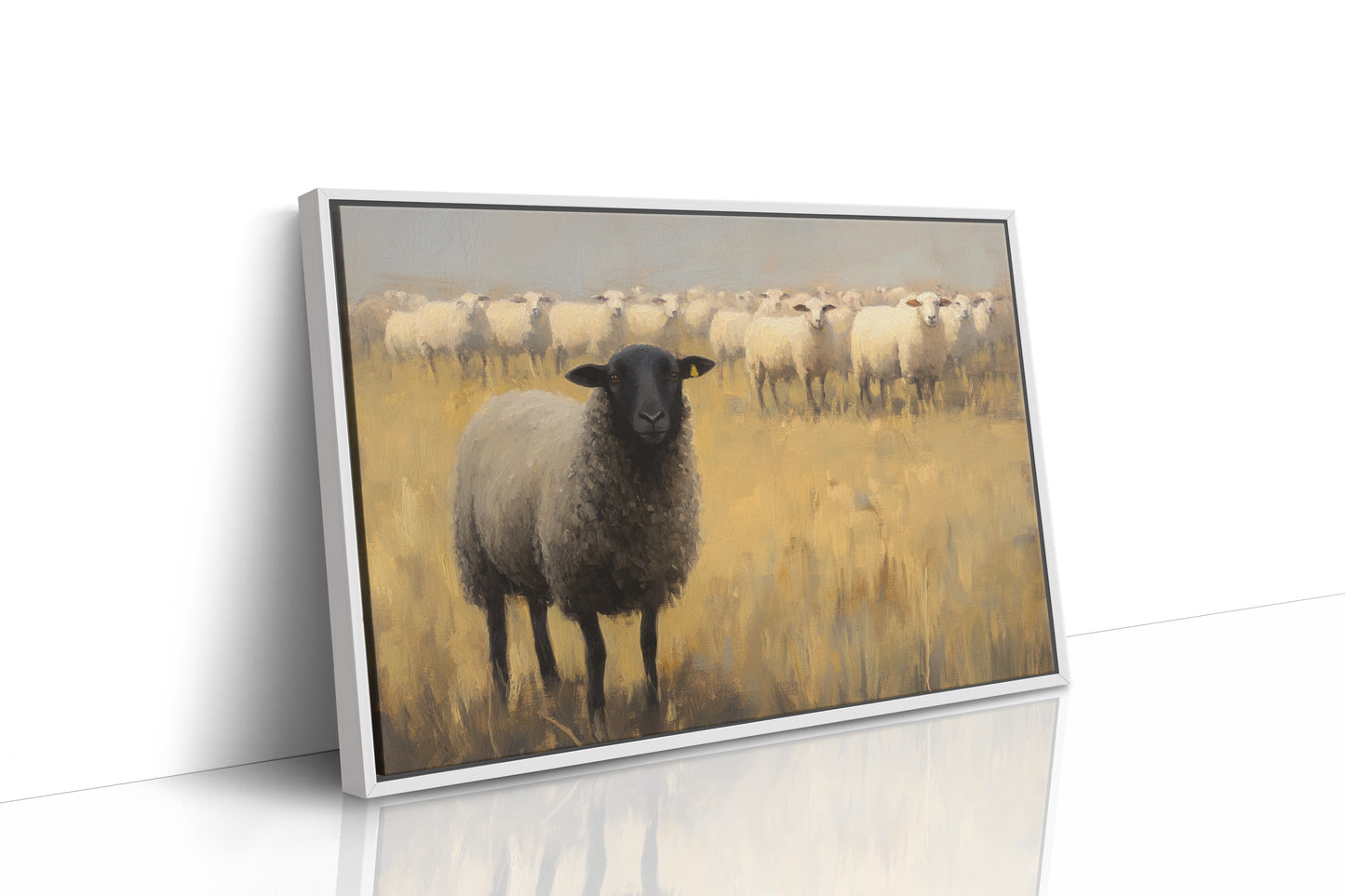 Black Sheep Leads Golden Meadow