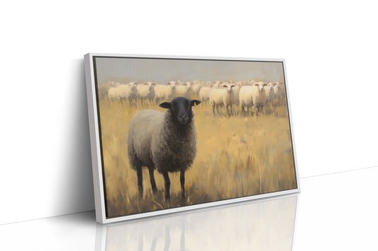 Black Sheep Leads Golden Meadow