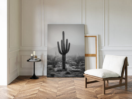 Cactus Standing Against The Mist